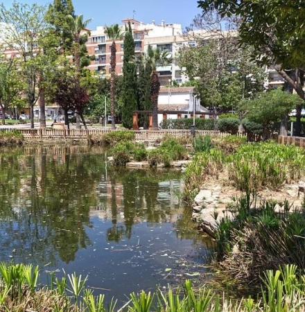 Recorrido guiado: Utilización de especies vegetales en jardinería y paisajismo. Ejemplos comentados paseando